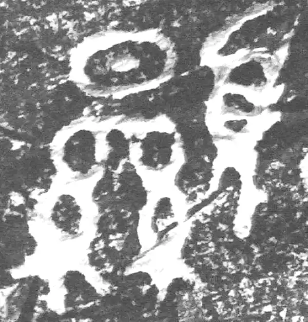 金文·四十二年逑鼎乙·顯