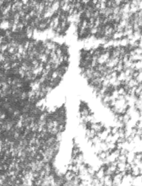 金文·伯辛父鼎·夫