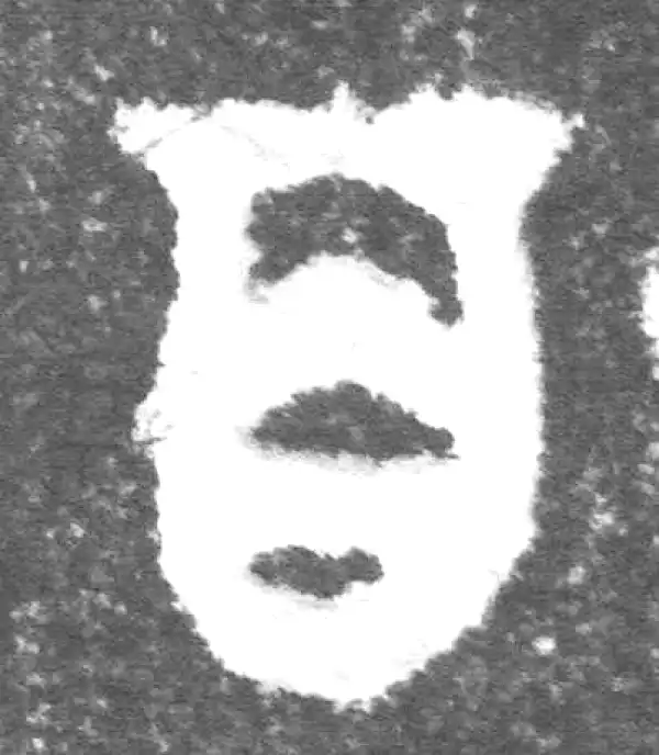 金文·(冬戈)簋·百