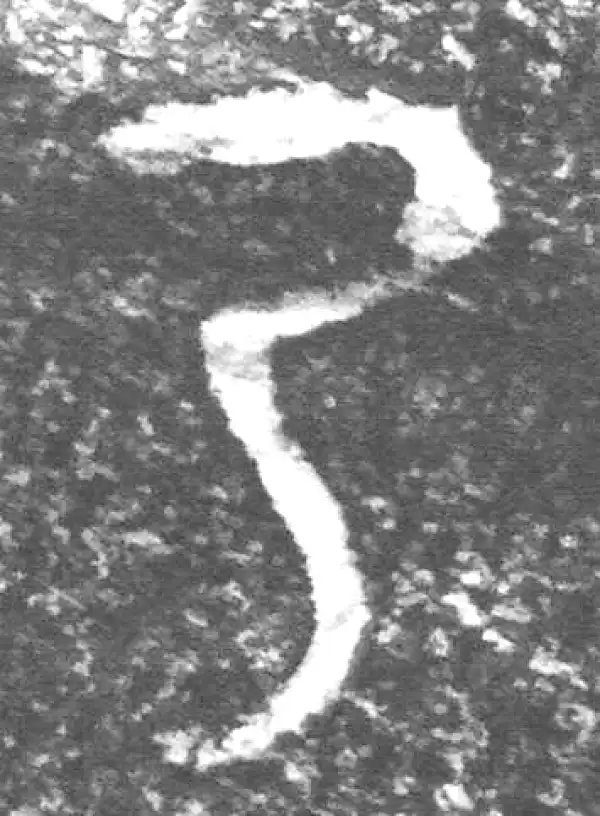 金文·四十二年逑鼎乙·乃