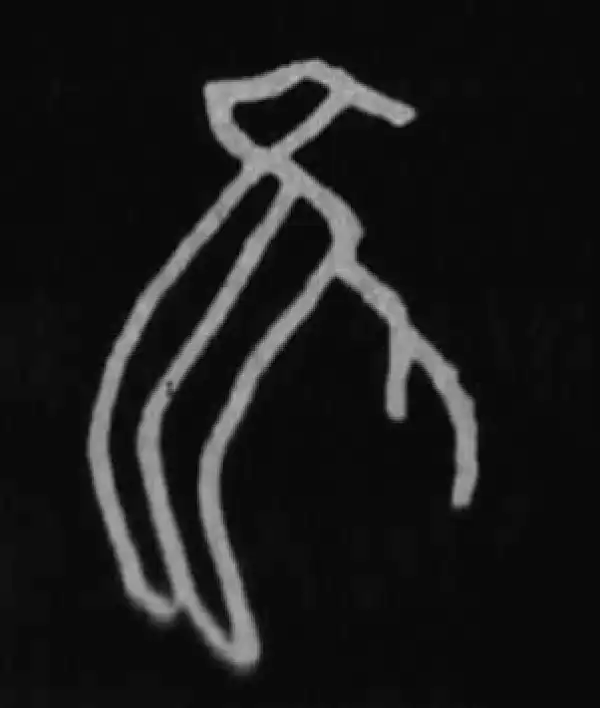 殷墟甲骨文·隹