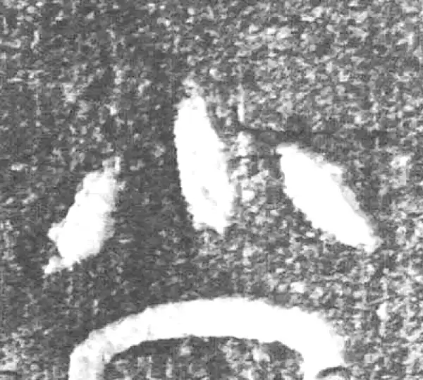 金文·(害夫)簋·小