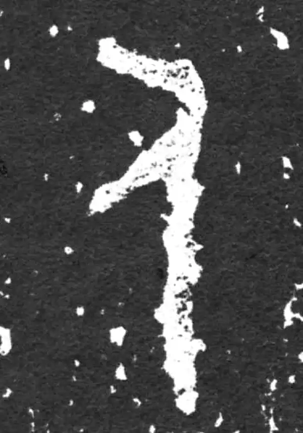 金文·毛公鼎铭文·人