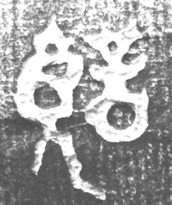 金文·四十二年逑鼎乙·望