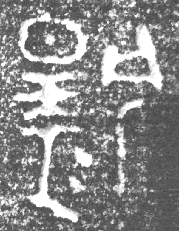 金文·四十三年逨鼎·扬