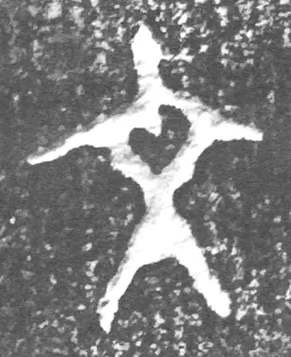 金文·四十二年逑鼎乙·文