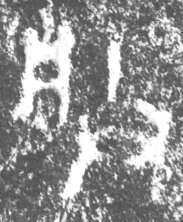 金文·公臣簋·朕