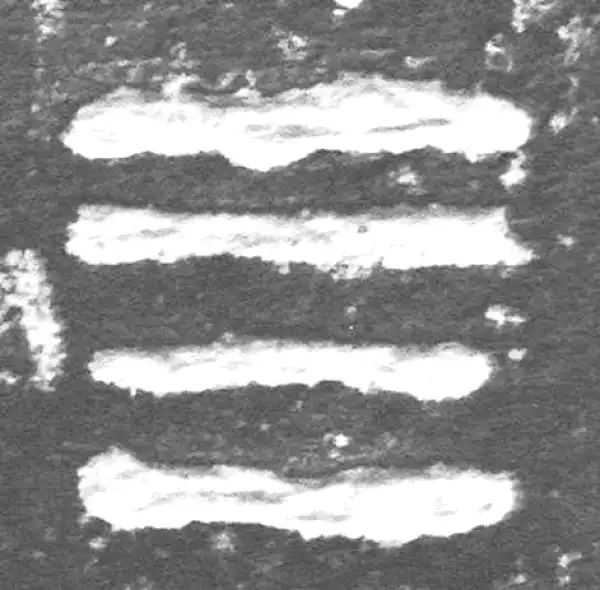 金文·九年卫鼎·四