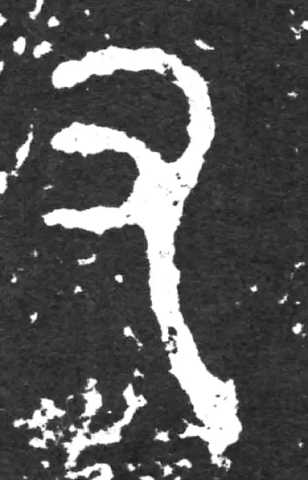 金文·毛公鼎铭文·又