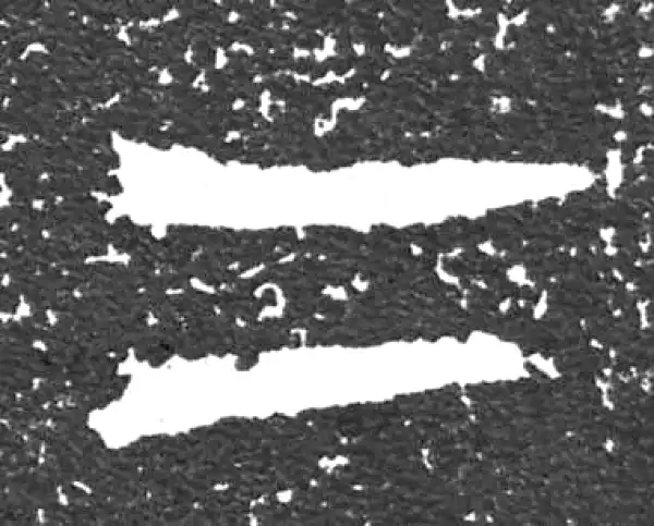 金文·大盂鼎铭文·二