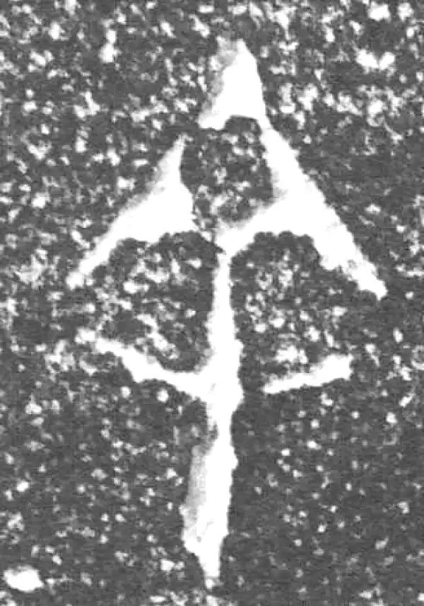 金文·四十三年逨鼎·余