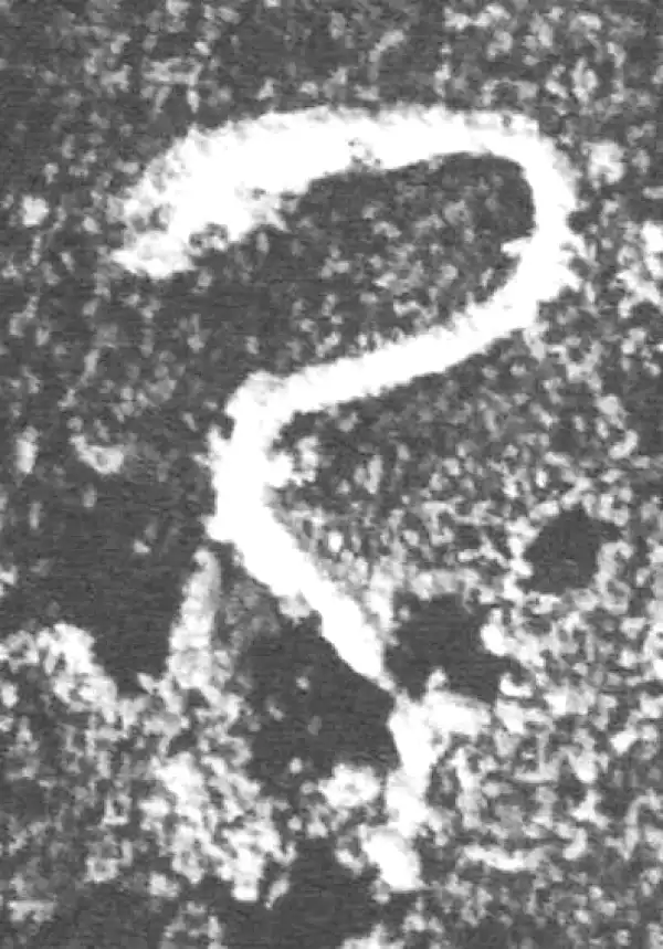 金文·朕匜盖·乃