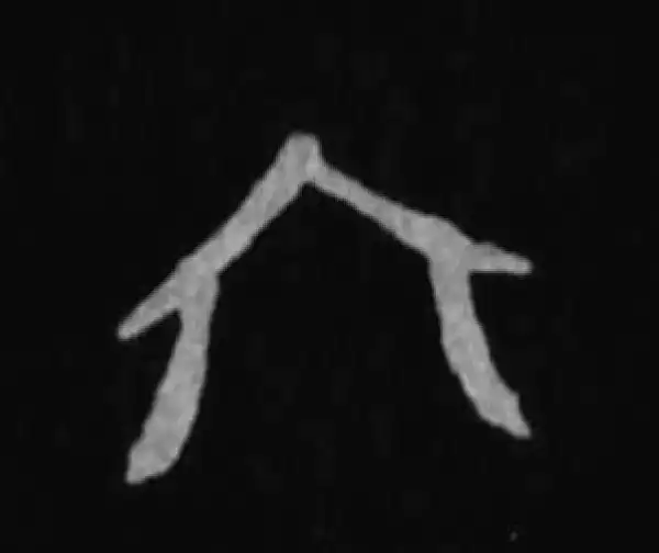 殷墟甲骨文·六