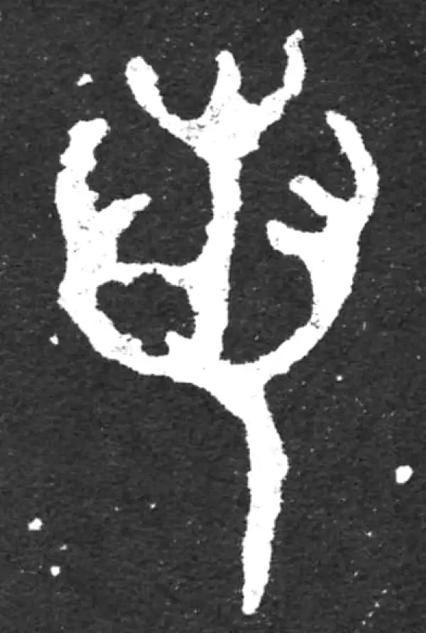 金文·毛公鼎铭文·若