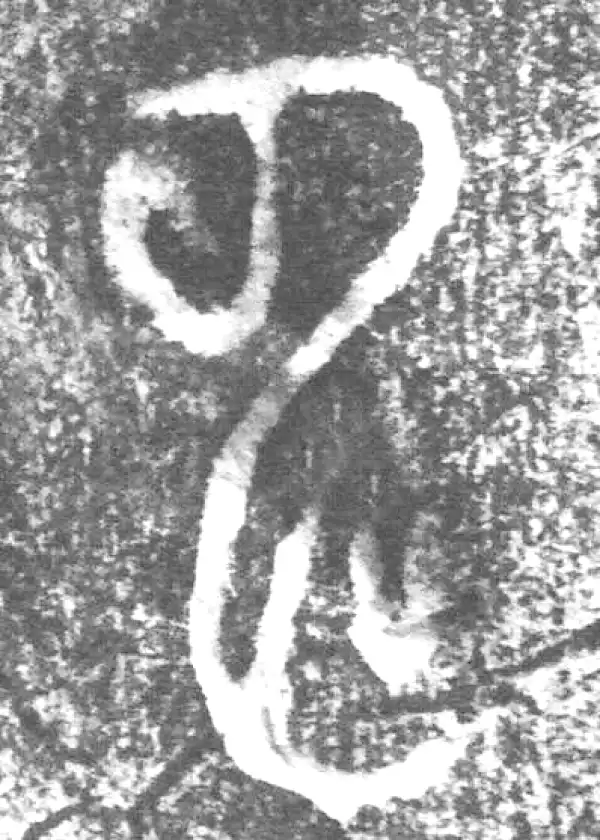 金文·朕匜器·申