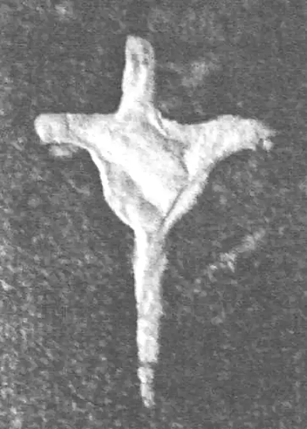 金文·(害夫)簋·才