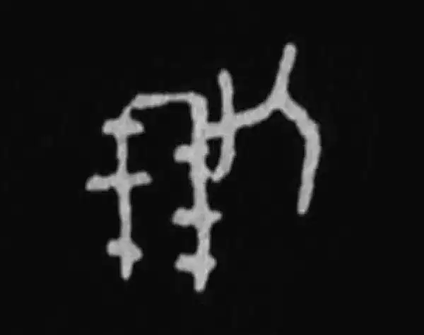 殷墟甲骨文·朋