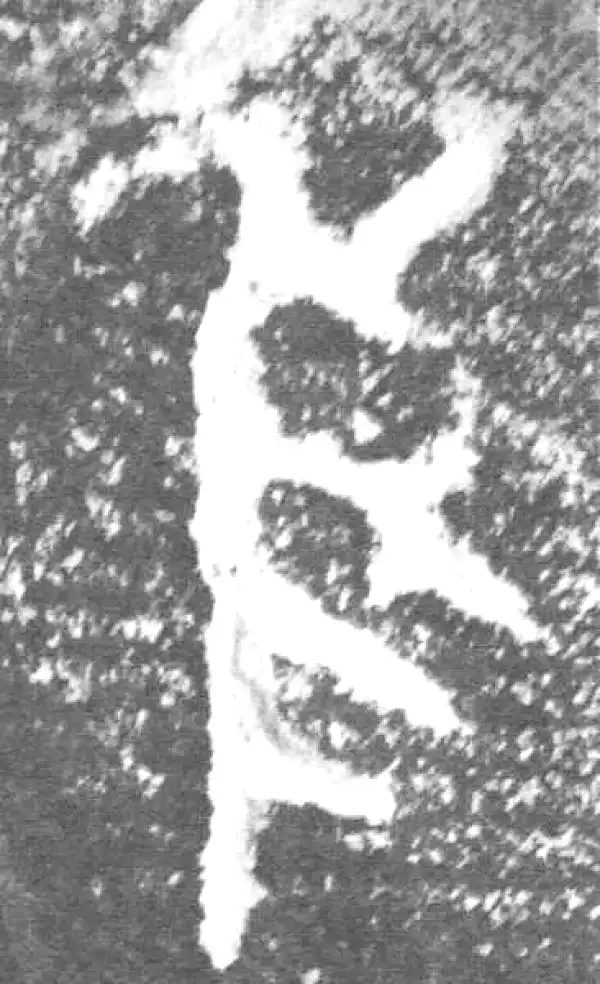 金文·此簋卒·隹