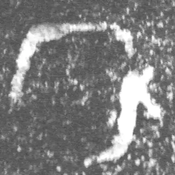 金文·伯辛父鼎·年