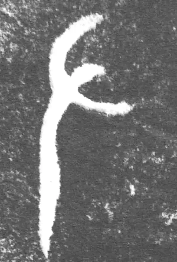 金文·(木土犬)驭觥盖·左