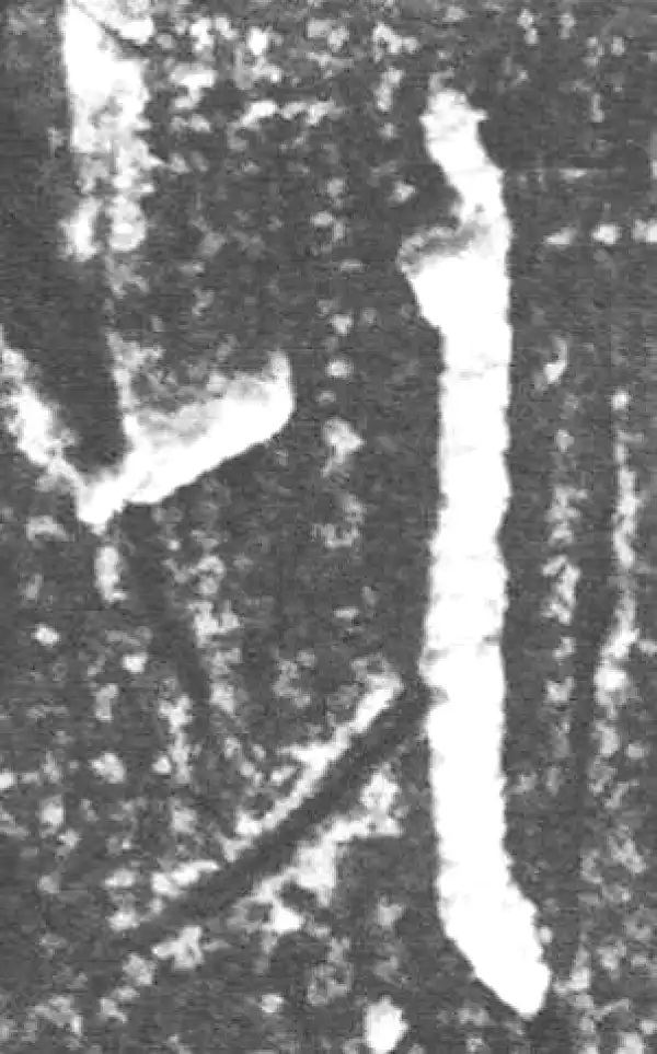 金文·四十二年逑鼎乙·人