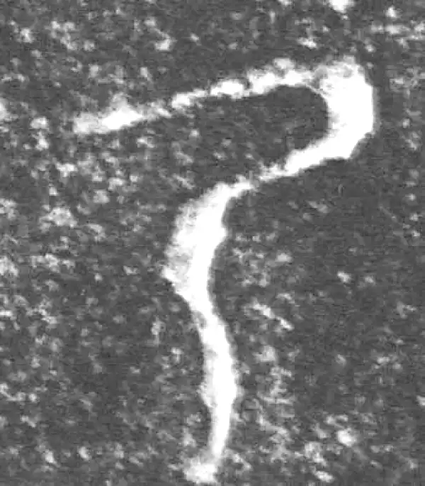 金文·四十三年逨鼎·乃