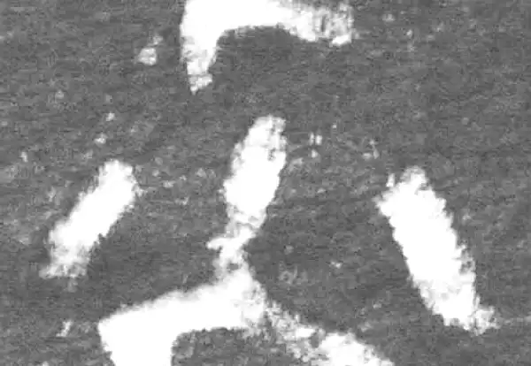 金文·九年卫鼎·小