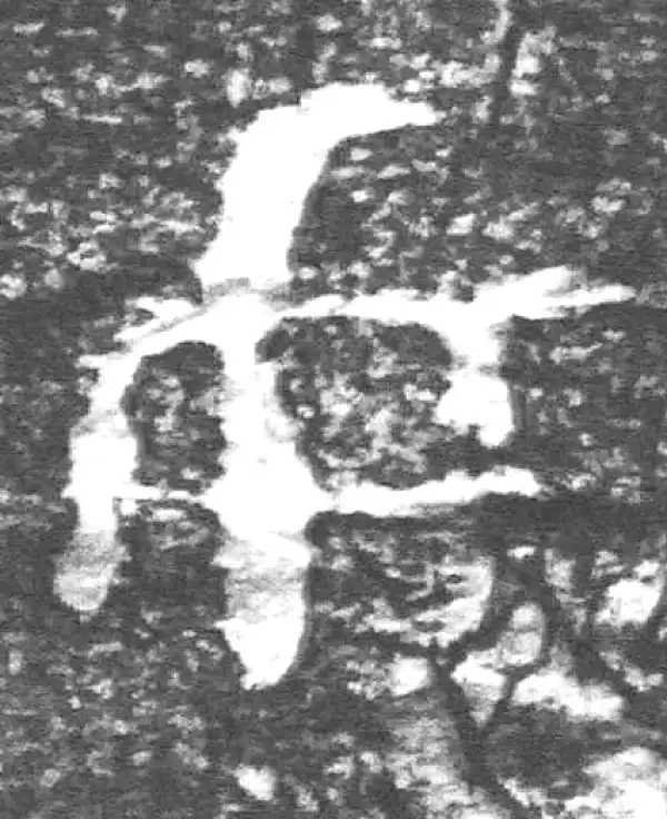 金文·四十二年逑鼎乙·女