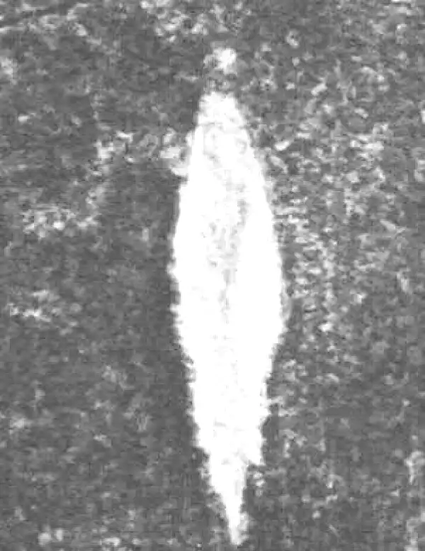 金文·(害夫)簋·十