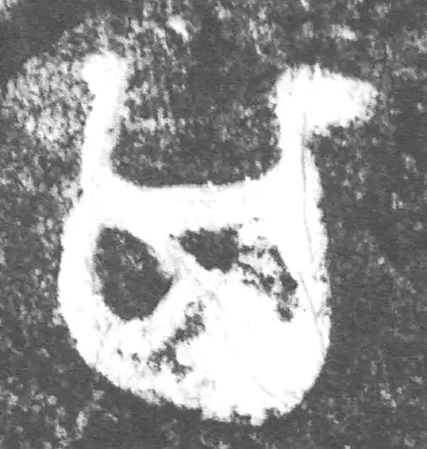 金文·叔赵父剑鞘饰·其