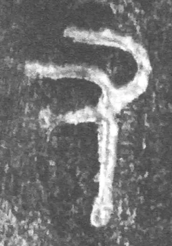 金文·荣有司称鬲·又