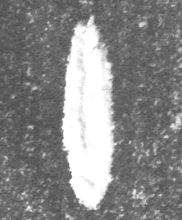 金文·(冬戈)簋·十