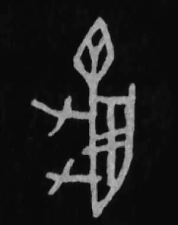 殷墟甲骨文·龟