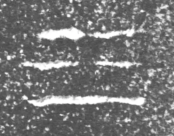 金文·四十三年逨鼎·三