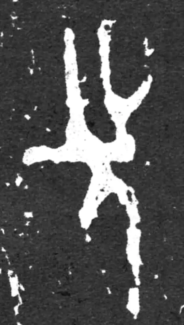 金文·毛公鼎铭文·先