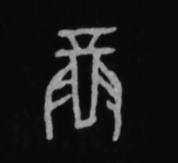 殷墟甲骨文·尊