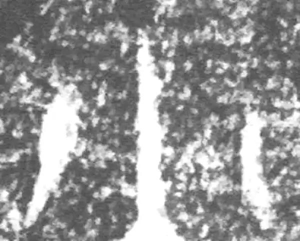 金文·朕匜盖·小