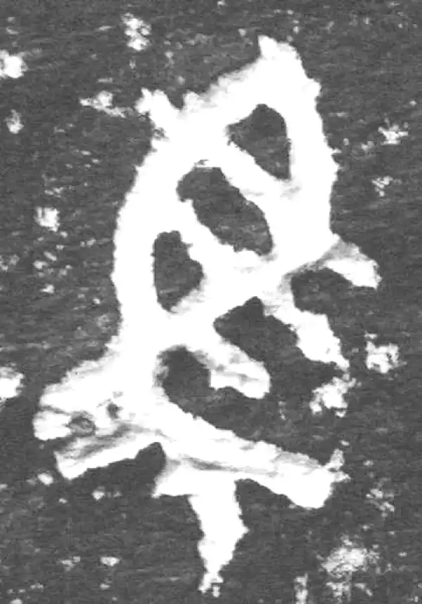 金文·九年卫鼎·馬