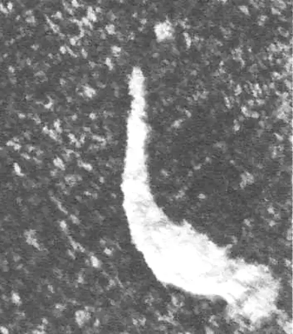 金文·四十二年逑鼎乙·乙