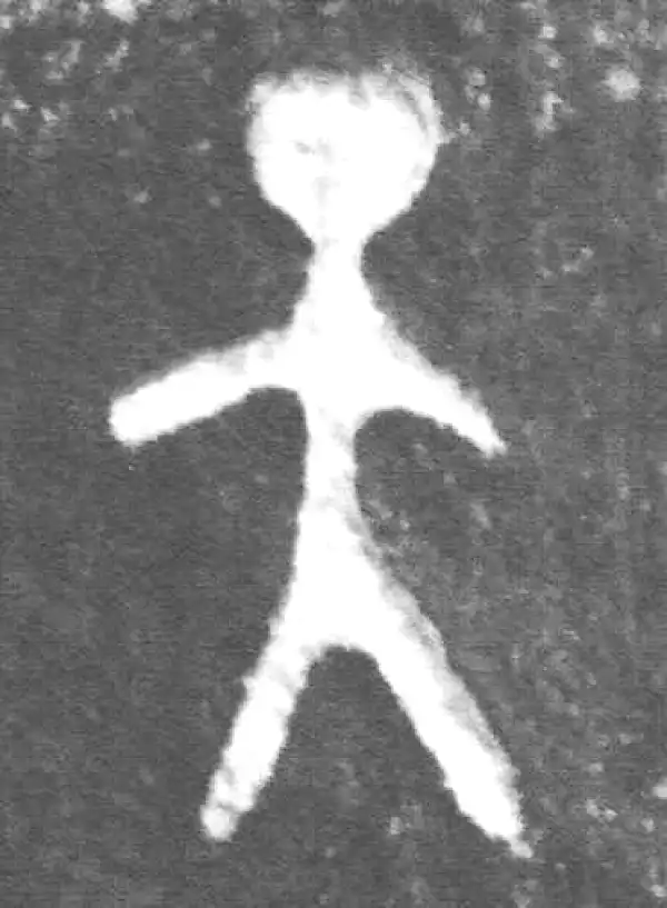 金文·裘卫簋·天