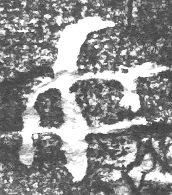 金文·四十二年逑鼎乙·女