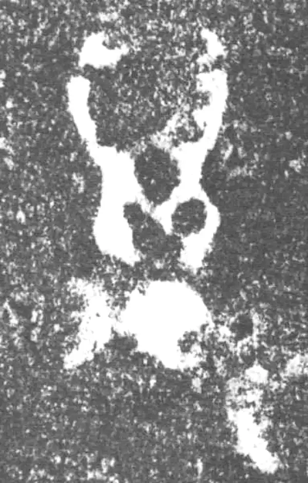 金文·旅仲簋·萬