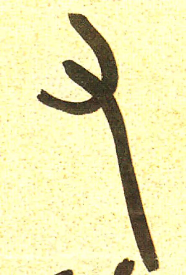 吴昌硕·篆书·右