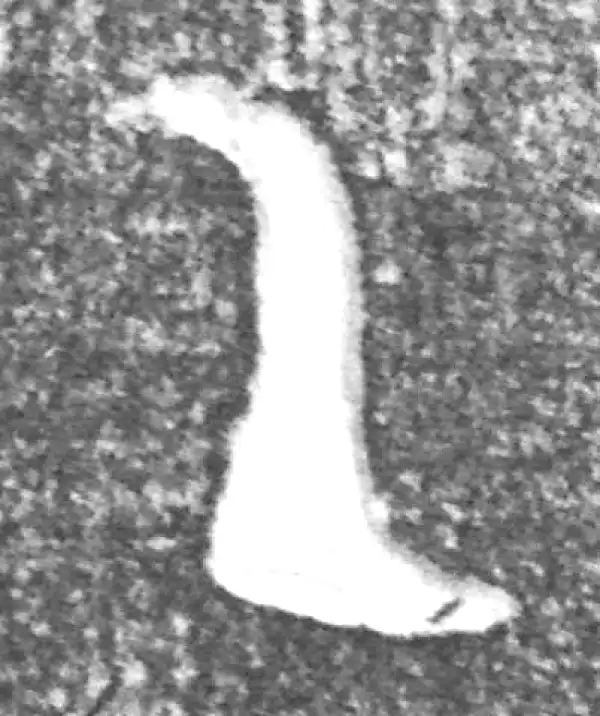 金文·(冬戈)方鼎甲·乙