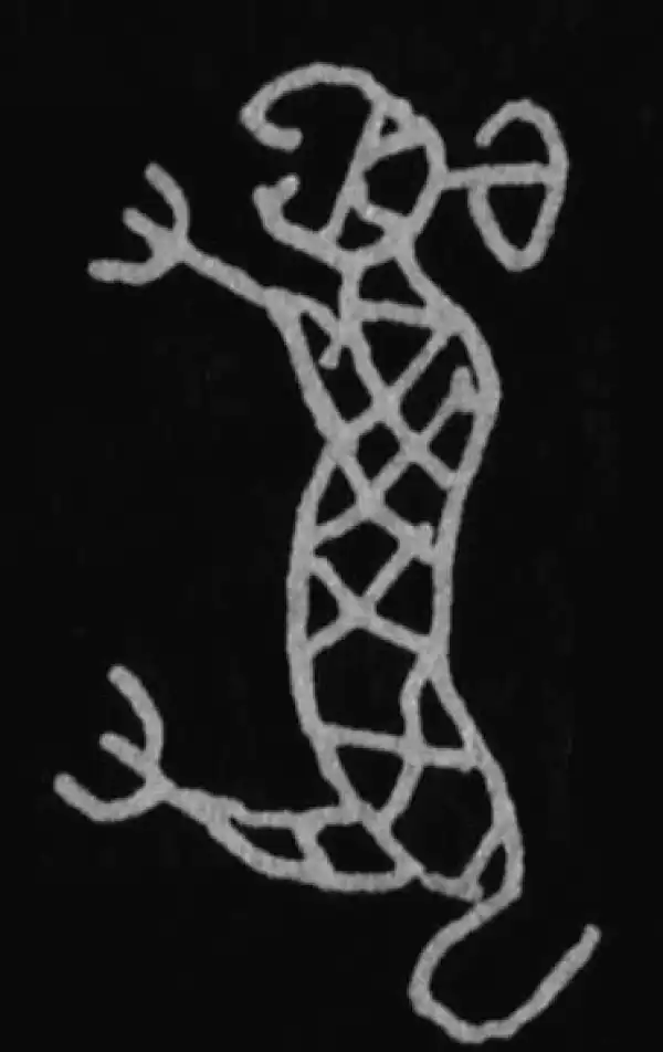 殷墟甲骨文·虎