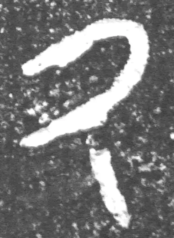 金文·裘卫盉·厥