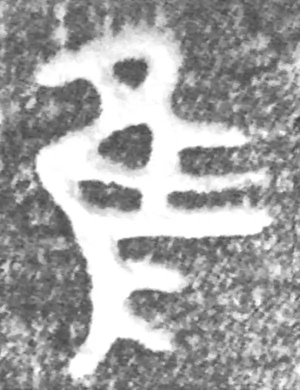 金文·(冬戈)方鼎甲·隹