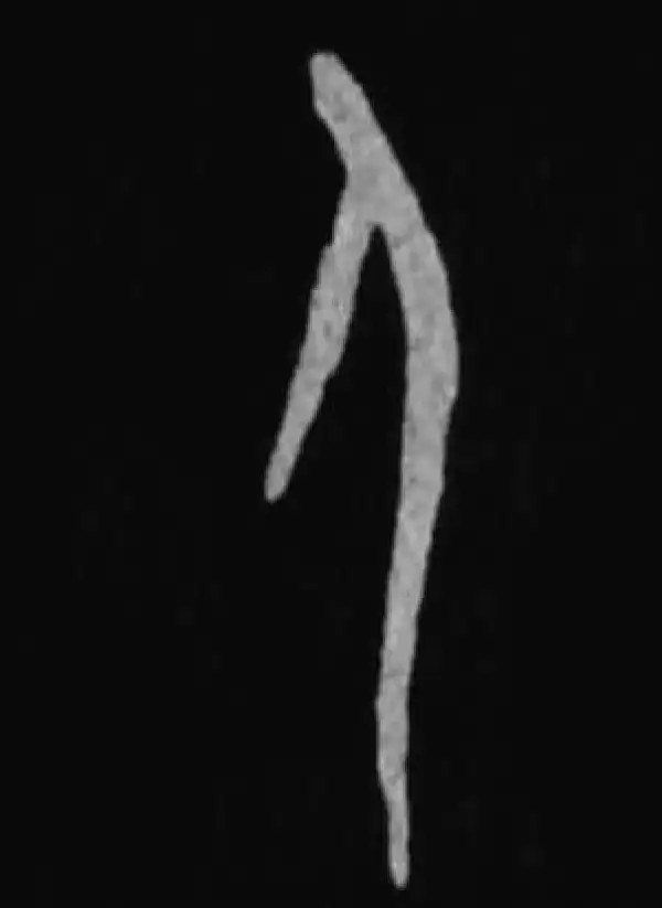 殷墟甲骨文·人