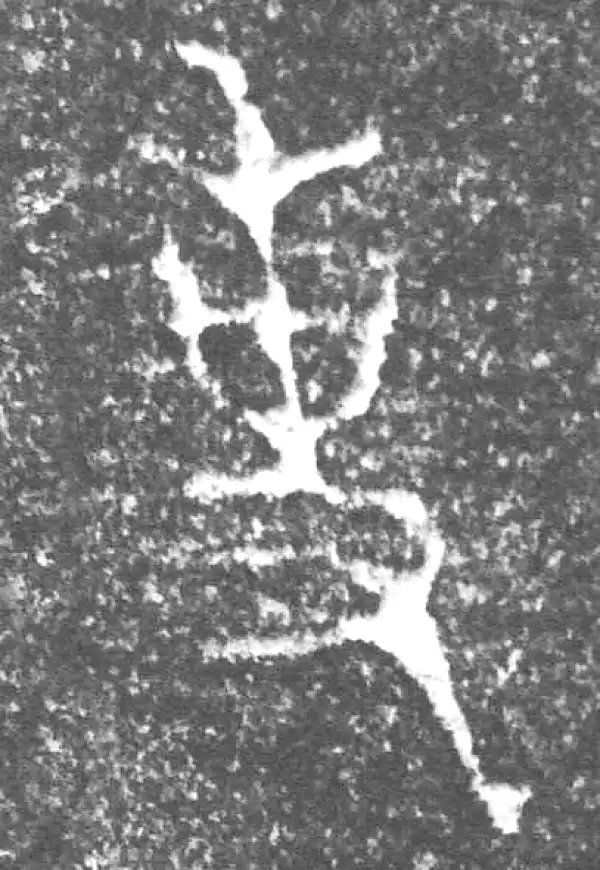 金文·四十三年逨鼎·事