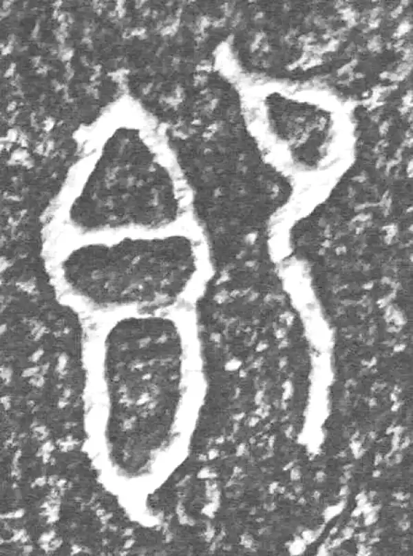 金文·四十二年逑鼎乙·即